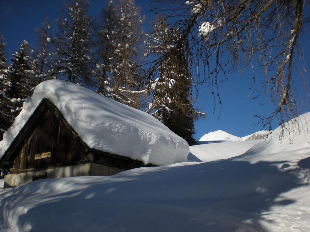 Casa Martini Mezzana (Trentino Alto Adige) Exterior foto